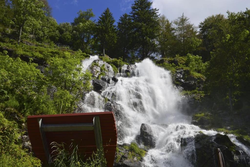 Waldlicht Titisee Eksteriør billede