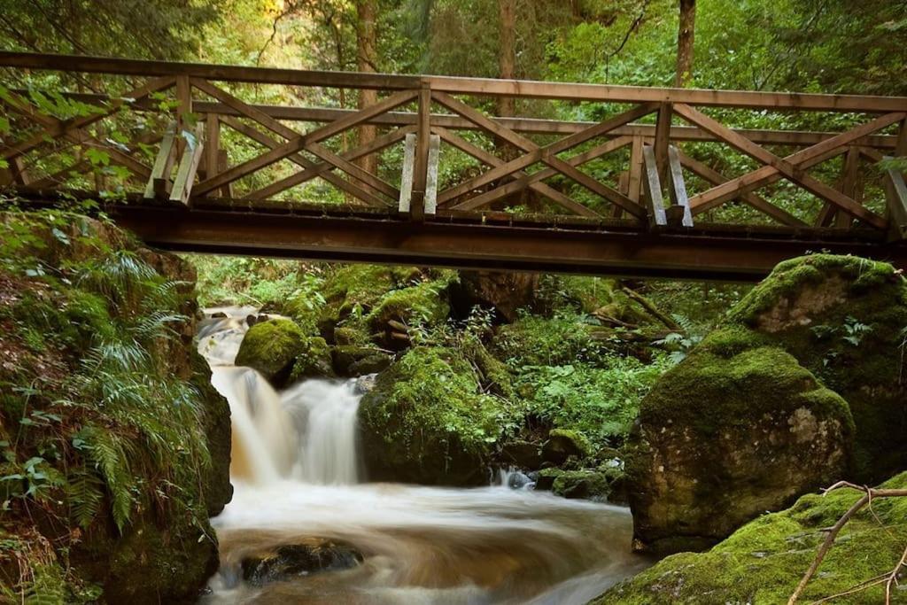 Waldlicht Titisee Eksteriør billede
