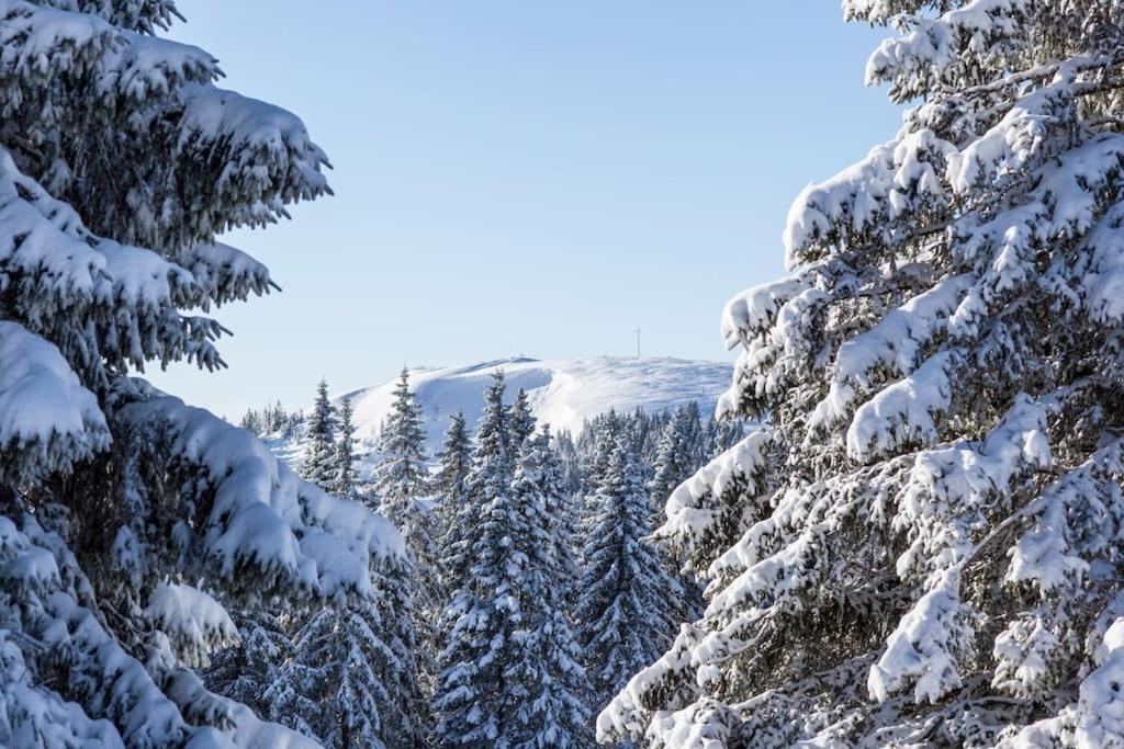 Waldlicht Titisee Eksteriør billede