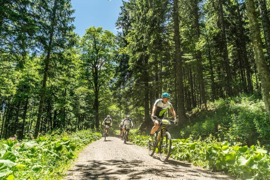 Waldlicht Titisee Eksteriør billede