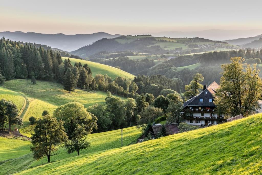 Waldlicht Titisee Eksteriør billede